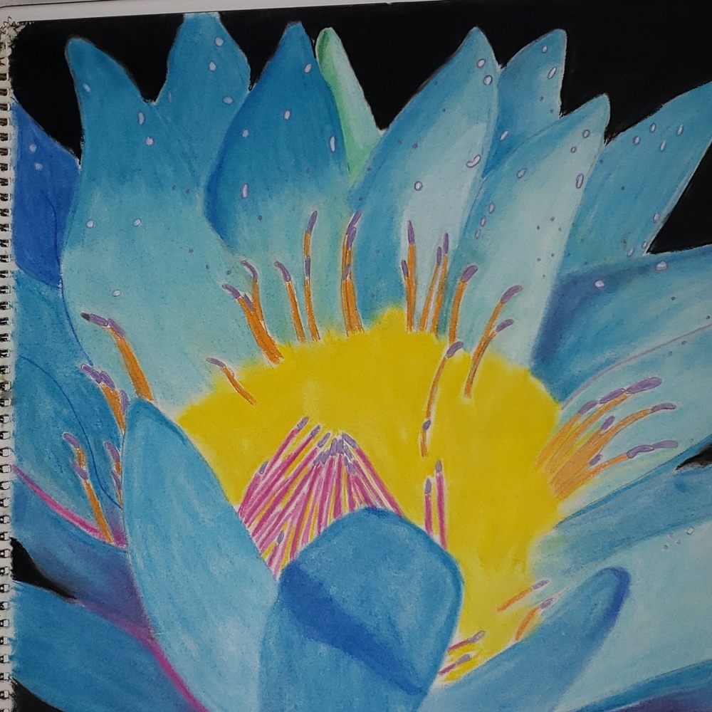 18x24 chalk flower